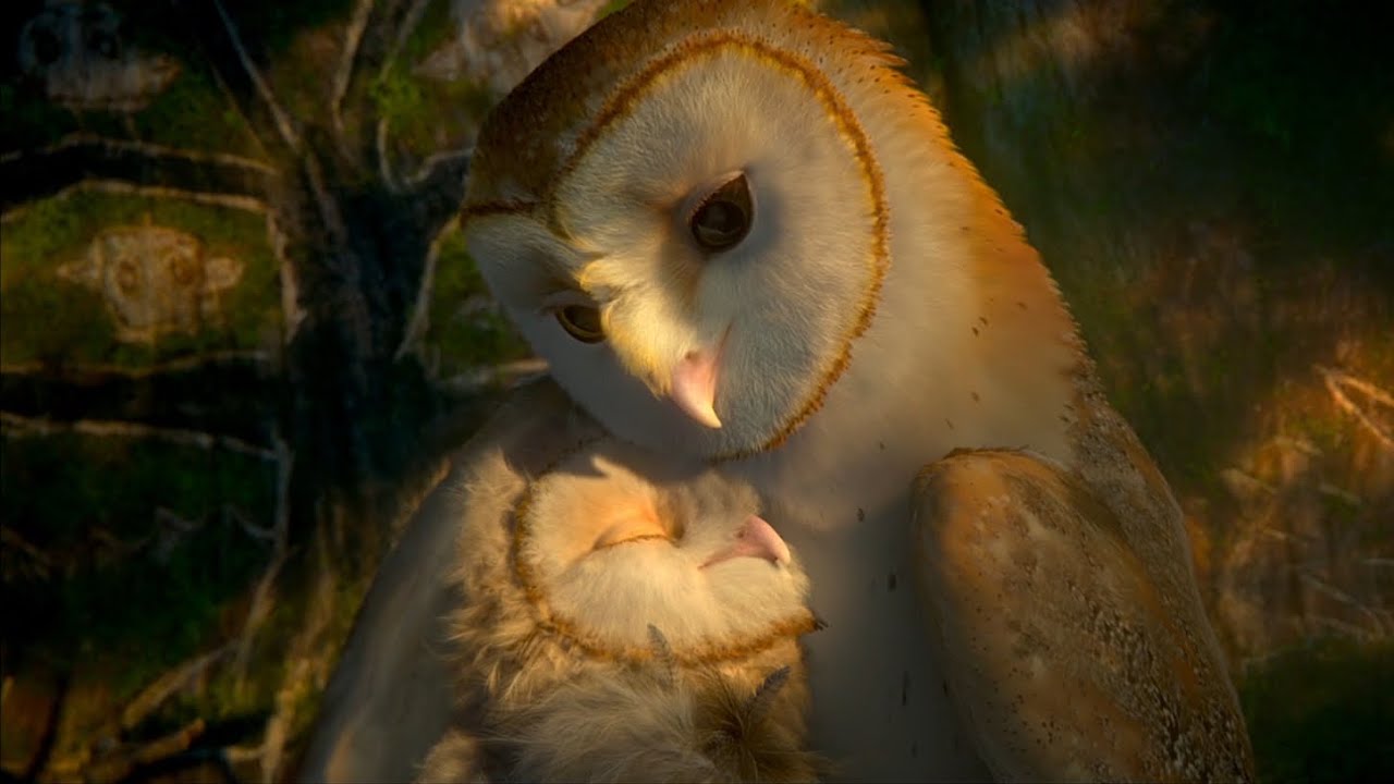 Legend of the Guardians: The Owls of Ga’Hoole (2010) Review - The Movie ...